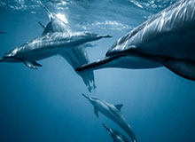 kaiyun.com-​【早报】史上最难看的红蓝大战？